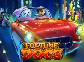 Fortune Dogs